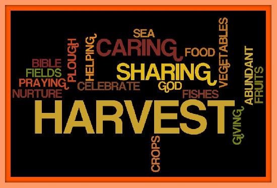 Harvest Services