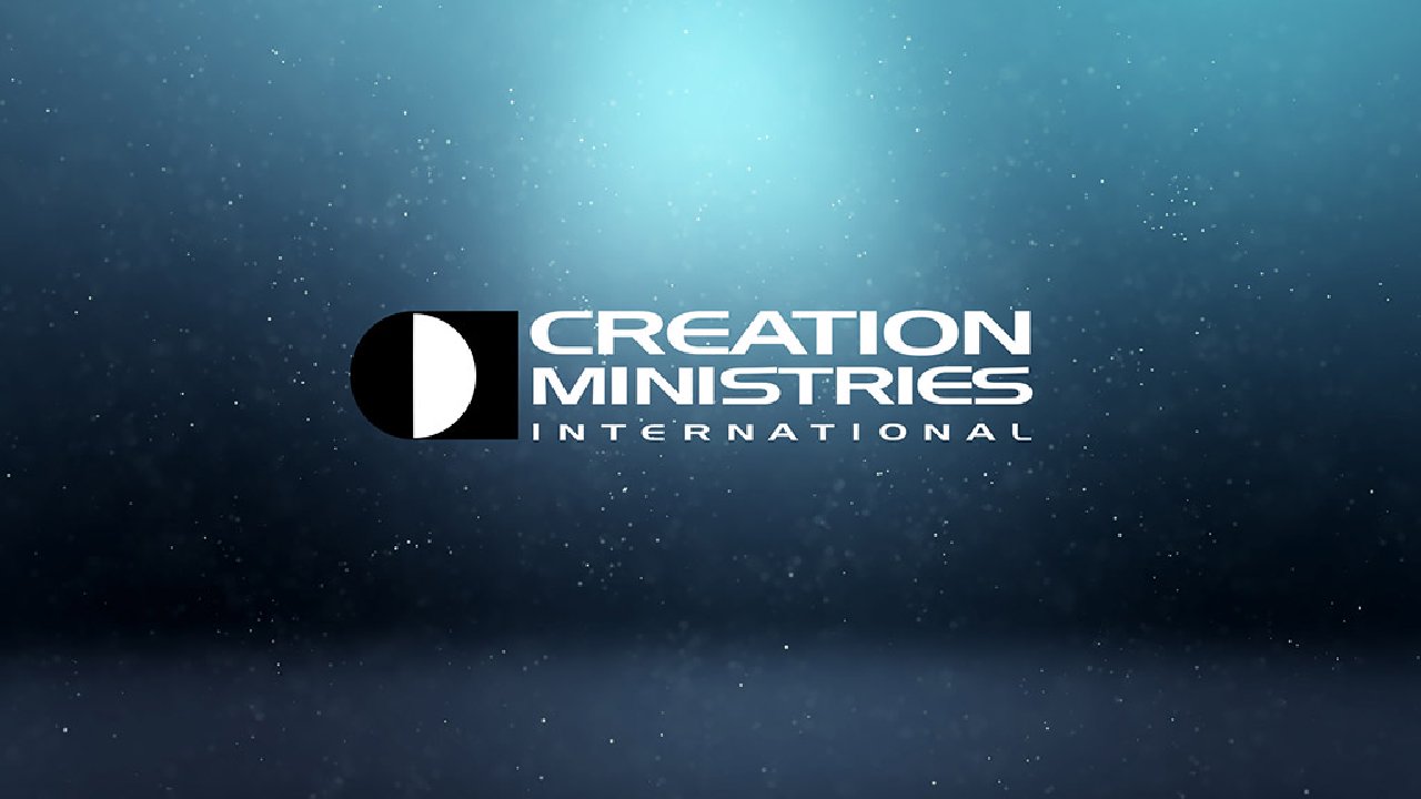 Creation Ministries International - 2022